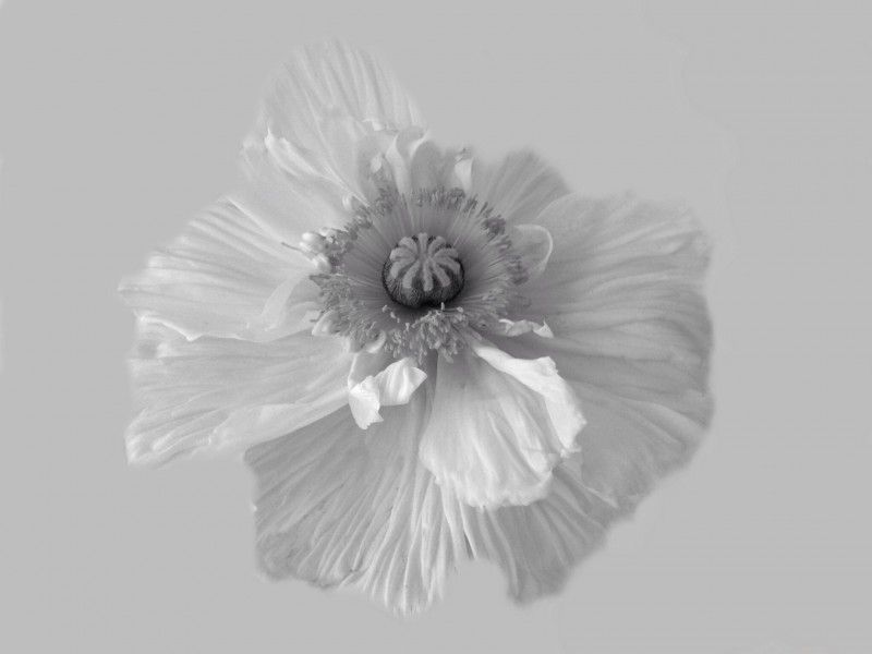 De Schoonheid van de Eenvoud